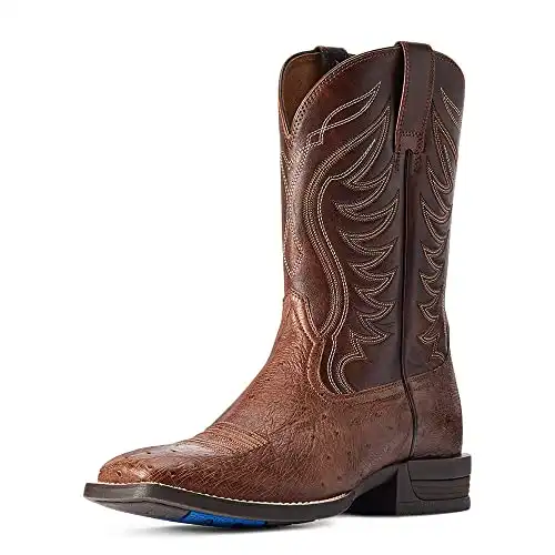 Ariat Mens Reckoning Western Boot Dark Tabac Smooth Quill Ostric/Nut Brown 8.5 Wide