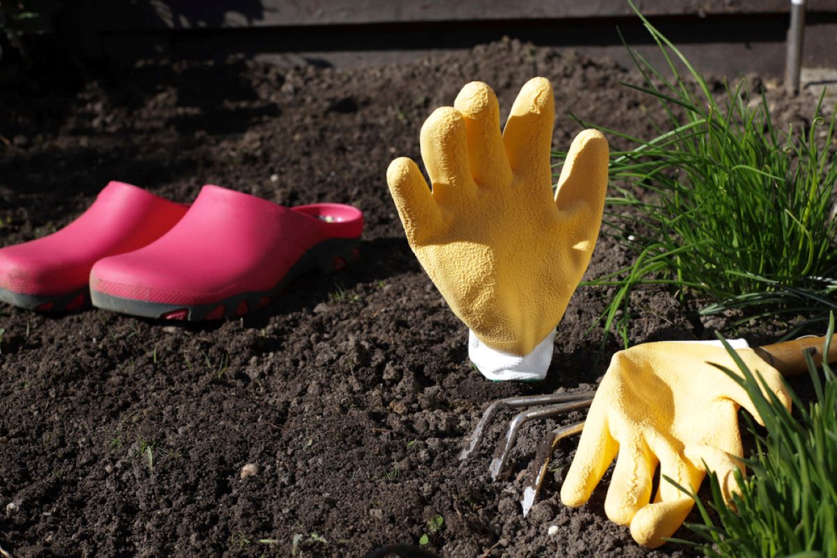 Beste Schuhe für die Gartenarbeit: Unsere Top 5 für begeisterte Pflanzenliebhaber