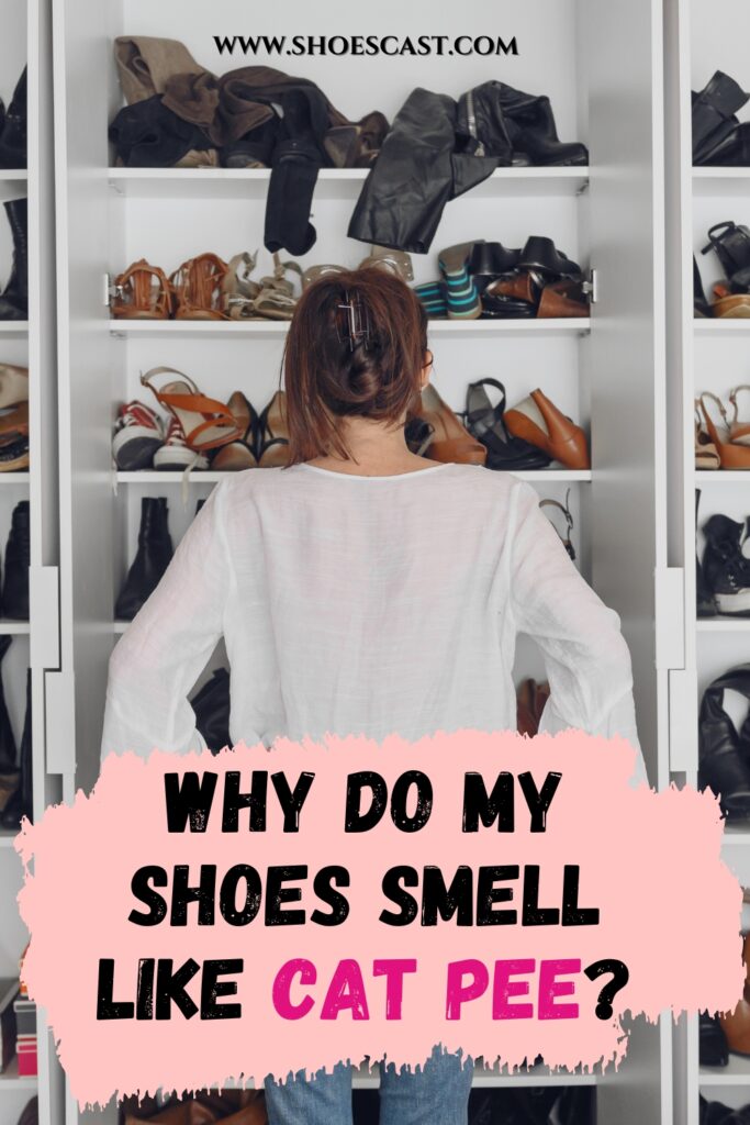 Why Do My Shoes Smell Like Cat Pee? How To Get Rid Of It?