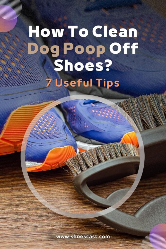 Wie man Hundekot von den Schuhen entfernt 7 nützliche Tipps