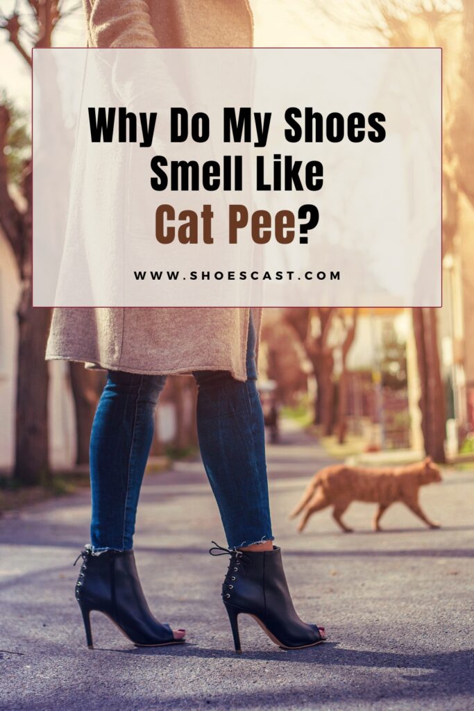 Warum riechen meine Schuhe nach Katzenpisse, wie man sie loswird