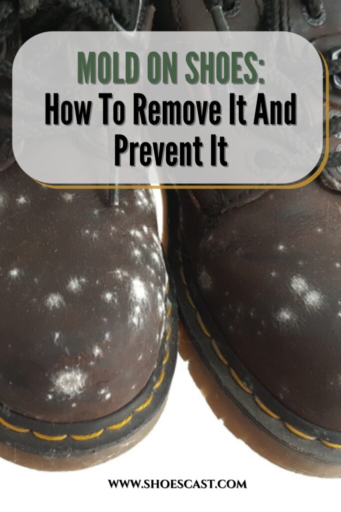 Mold On Shoes: How To Remove It And Prevent It