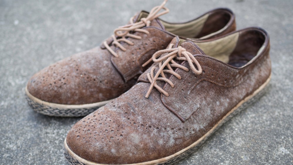 Mold On Shoes: How To Remove It And Prevent It