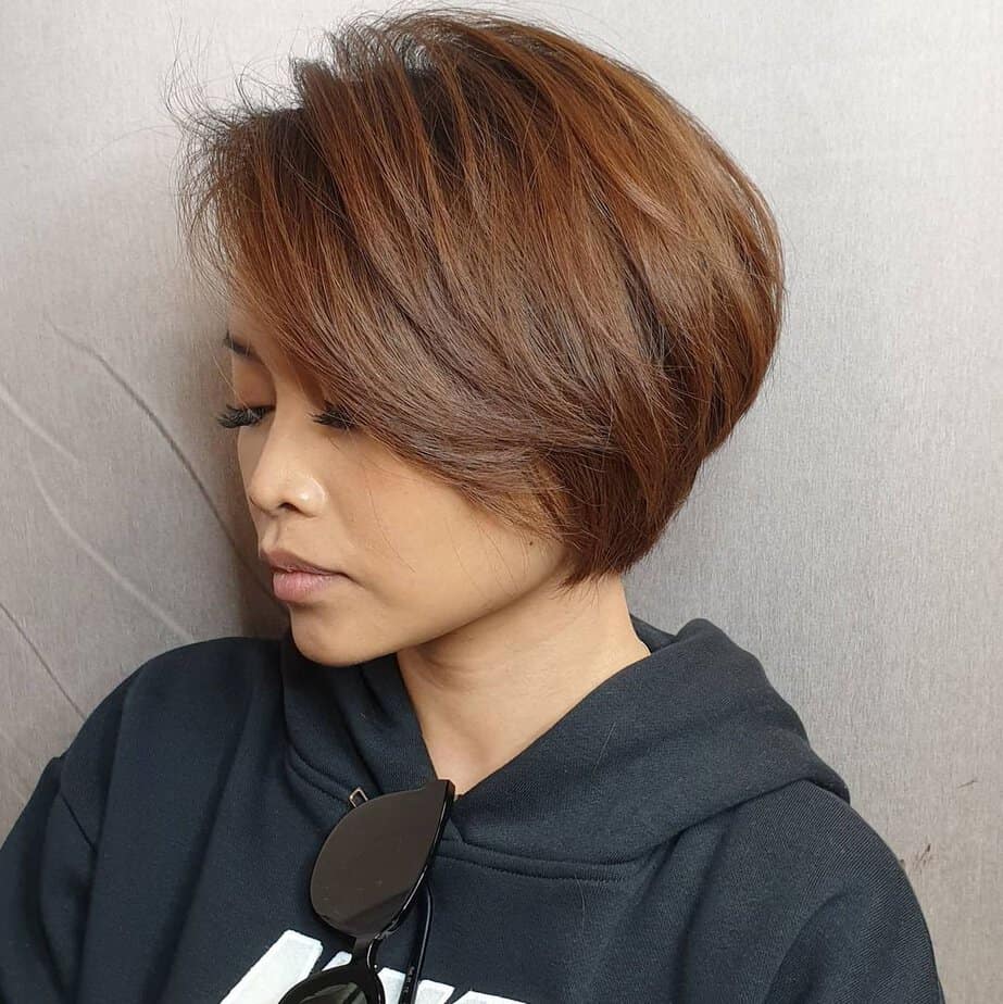 Copper brown pixie bob