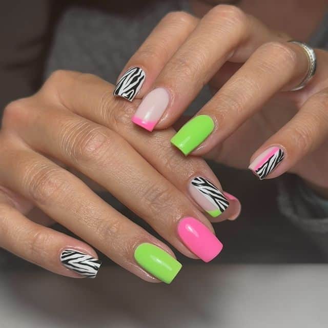 Summer zebra