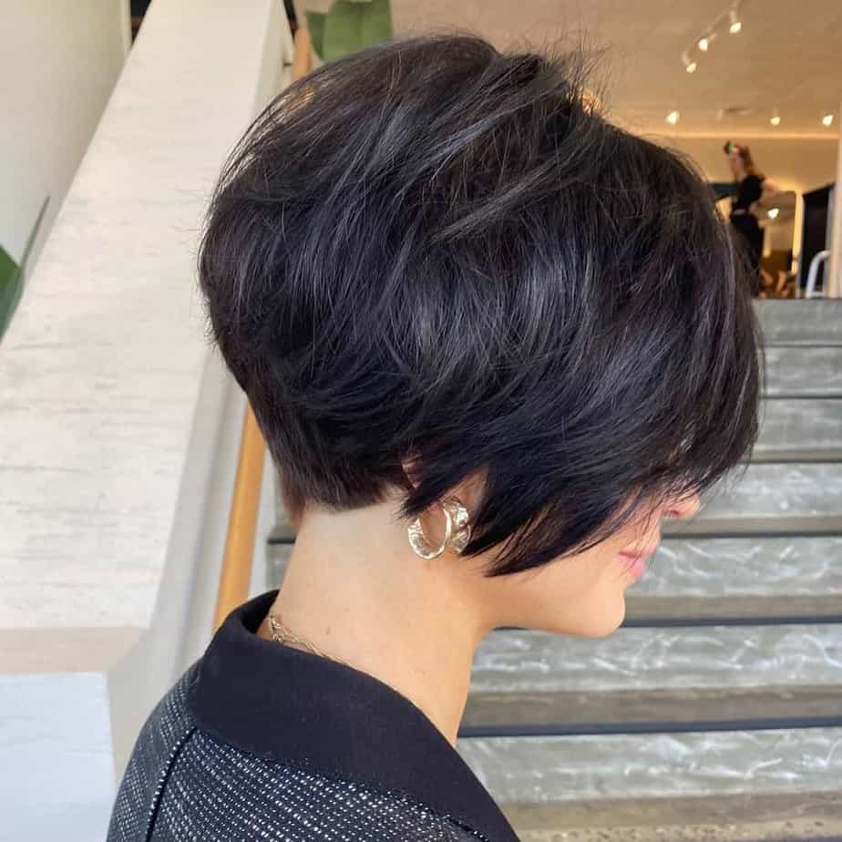 Trendy black pixie bob