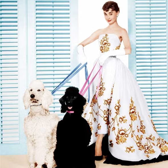 best audrey hepburn style moments sabrina givenchy